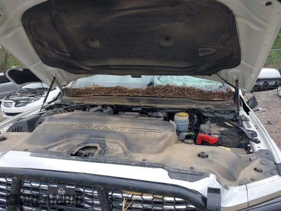 2022 Ram 2500 Laramie with VIN 3C6UR5FL3NG310109, listed as a IAAI auction lot 41832988 with 88,817 mi miles. Bid and sale history available at carsss.com. Image 10.