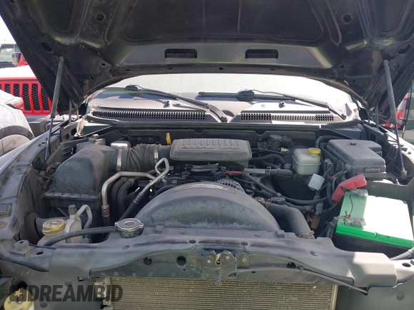 2010 Dodge Dakota with VIN 1D7CE3BK3AS164353, listed as a IAAI auction lot 40646738 with 146,625 mi miles and . Bid and sale history available at DreamBid. Image 10.