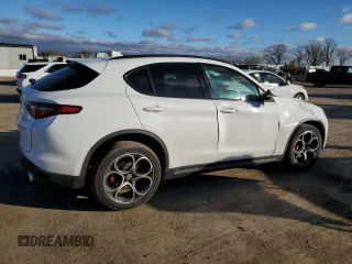 2019 Alfa Romeo Stelvio Ti with VIN ZASPAKBN7K7C50837, listed as a Copart auction lot 80262404 with Not provided miles and Salvage title. Bid and sale history available at DreamBid. Image 3.