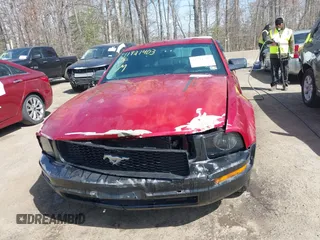 2005 Ford Mustang Deluxe with VIN 1ZVFT80NX55119984, listed as a IAAI auction lot 41921403 with 243,278 mi miles and . Bid and sale history available at DreamBid. Image 12.