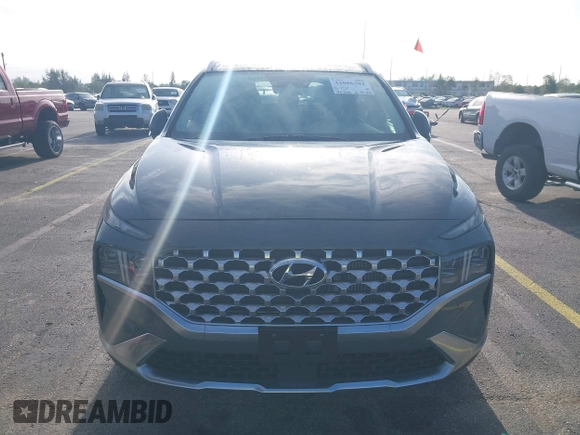 2023 Hyundai Santa Fe Limited with VIN 5NMS4DAL6PH532408, listed as a IAAI auction lot 42006382 with 46,338 mi miles. Bid and sale history available at carsss.com. Image 12.