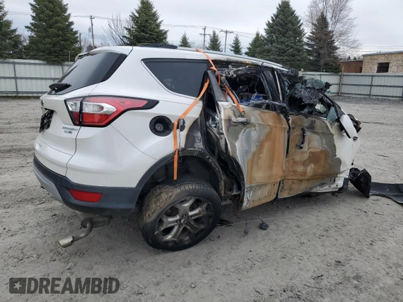 2017 Ford Escape Titanium with VIN 1FMCU9JD7HUC92043, listed as a Copart auction lot 52312455 with 0 mi miles and Non Repairable. Bid and sale history available at carsss.com. Image 3.