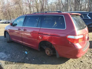 2005 Honda Odyssey EX-L with VIN 5FNRL38675B070239, listed as a Copart auction lot 49959515 with 217,089 mi miles and Salvage Title. Bid and sale history available at carsss.com. Image 2.