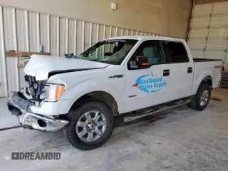 2014 Ford F-150 XL z VIN 1FTFW1ET5EKF36925, wystawiony jako Copart lot #61095865 z przebiegiem 189 001 mil mil oraz Szkoda całkowita • Salvage title. Historia ofert i sprzedaży dostępna na DreamBid. Obrazek 1.