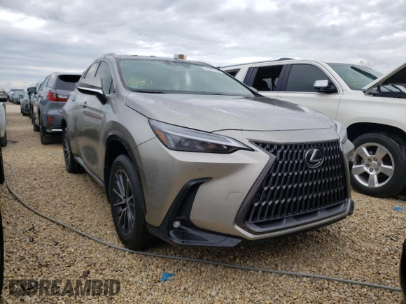 2022 Lexus NX with VIN 2T2GDCAZ0NC002101, listed as a Copart auction lot 62342662 with 0 mi miles. Bid and sale history available at carsss.com. Image 1.