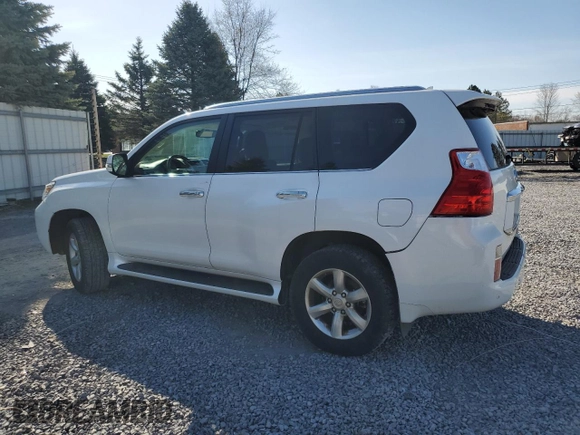 2011 Lexus GX 460 with VIN JTJBM7FX7B5020081, listed as a Copart auction lot 53826995 with 215,593 mi miles and Clean Title. Bid and sale history available at carsss.com. Image 2.