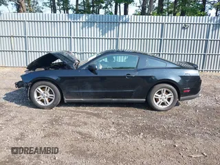 2012 Ford Mustang Premium with VIN 1ZVBP8AM1C5288023, listed as a IAAI auction lot 42486009 with 143,525 mi miles and . Bid and sale history available at DreamBid. Image 14.
