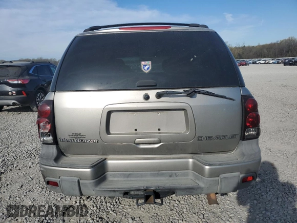 2003 Chevrolet TrailBlazer LS with VIN 1GNDS13SX32140300, listed as a Copart auction lot 48967135 with 284,988 mi miles and Salvage Title. Bid and sale history available at carsss.com. Image 6.