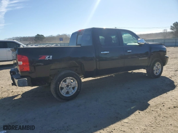 2010 Chevrolet Silverado 1500 LT with VIN 3GCRKSE38AG258831, listed as a Copart auction lot 46121205 with 166,821 mi miles and Salvage Title. Bid and sale history available at carsss.com. Image 3.