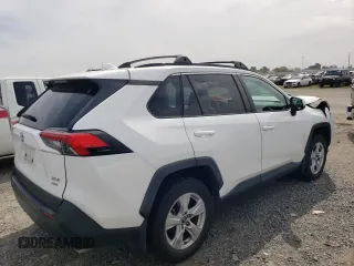 2019 Toyota RAV4 XLE with VIN 2T3P1RFV4KW082946, listed as a Copart auction lot 49841075 with 80,637 mi miles and Salvage Title. Bid and sale history available at carsss.com. Image 3.
