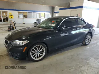 2015 BMW 2 Series 228i xDrive with VIN WBA1G9C51FVX96763, listed as a Copart auction lot 69091454 with 100,816 mi miles and Salvage Title. Bid and sale history available at DreamBid. Image 1.