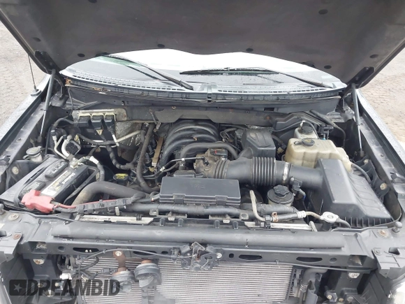 2010 Ford F-150 XL with VIN 1FTEW1E84AFA54957, listed as a IAAI auction lot 42456388 with 197,370 mi miles and . Bid and sale history available at DreamBid. Image 10.
