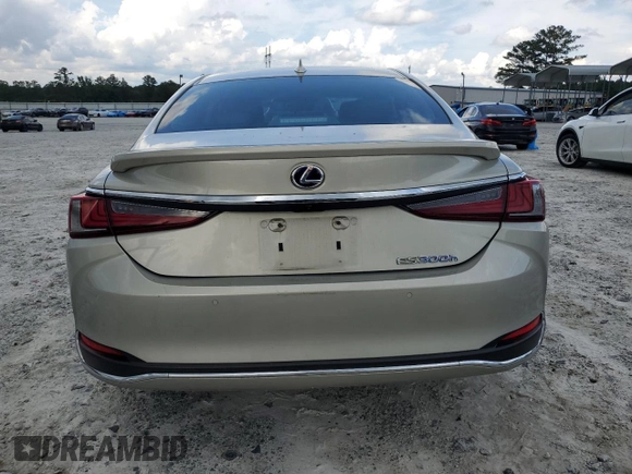2020 Lexus ES 300h with VIN 58AD21B12LU008691, listed as a Copart auction lot 60406695 with 78,169 mi miles and Salvage title. Bid and sale history available at DreamBid. Image 6.