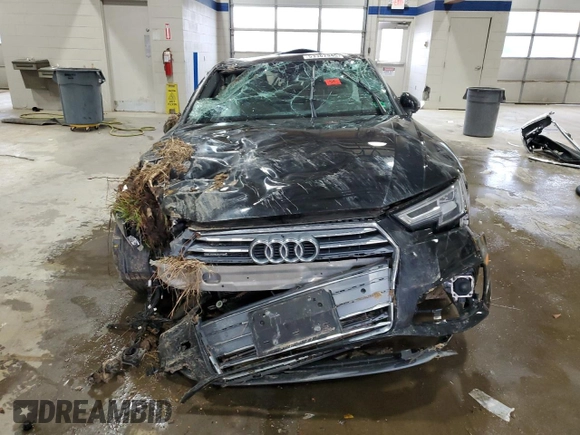 2019 Audi A4 Prestige with VIN WAUFNAF44KA115190, listed as a Copart auction lot 53362945 with 0 mi miles and Salvage Title. Bid and sale history available at carsss.com. Image 5.
