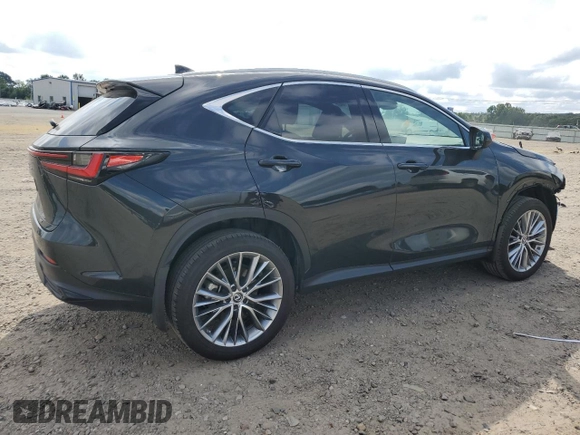 2023 Lexus NX with VIN 2T2GKCEZ7PC010327, listed as a Copart auction lot 66039184 with 21,892 mi miles and Salvage Title. Bid and sale history available at carsss.com. Image 3.