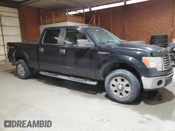 2010 Ford F-150 XL with VIN 1FTFW1EV7AFA44952, listed as a Copart auction lot 47845065 with 160,132 mi miles and Salvage title. Bid and sale history available at DreamBid. Image 4.