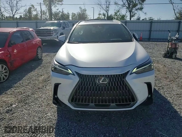 2025 Lexus NX with VIN 2T2GDCAZ1SC016522, listed as a Copart auction lot 86184694 with 729 mi miles and Salvage Title. Bid and sale history available at carsss.com. Image 11.