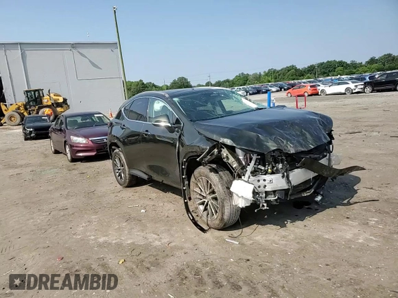 2025 Lexus NX 350 with VIN 2T2AGCEZ3SC066555, listed as a Copart auction lot 59521925 with 11,955 mi miles and Salvage title. Bid and sale history available at DreamBid. Image 14.