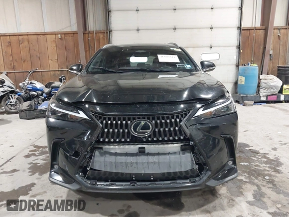 2022 Lexus NX with VIN JTJAGCEZ0N2003241, listed as a IAAI auction lot 41509411 with 53,287 mi miles. Bid and sale history available at carsss.com. Image 6.