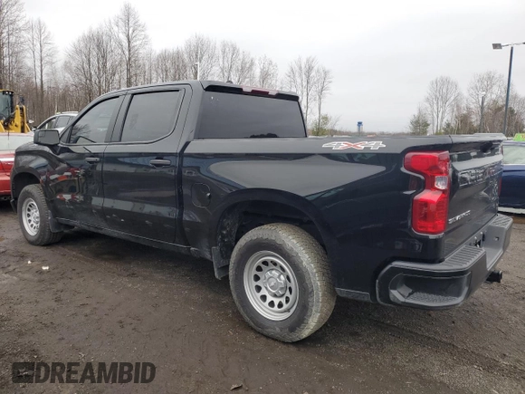2024 Chevrolet Silverado 1500 with VIN 3GCPDAEK8RG134170, listed as a Copart auction lot 49703665 with 10,643 mi miles and Salvage Title. Bid and sale history available at DreamBid. Image 2.