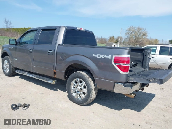 2013 Ford F-150 XL with VIN 1FTFW1ET3DFA00787, listed as a IAAI auction lot 42079893 with 143,874 mi miles. Bid and sale history available at carsss.com. Image 3.