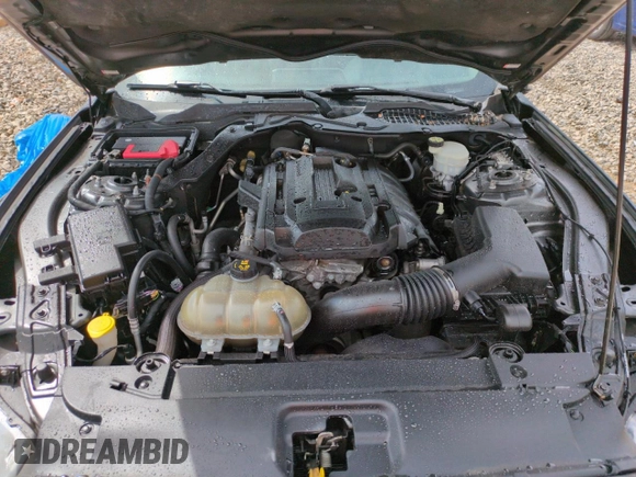 2017 Ford Mustang EcoBoost with VIN 1FA6P8TH5H5219126, listed as a Copart auction lot 52311515 with 84,449 mi miles and Salvage title. Bid and sale history available at DreamBid. Image 11.