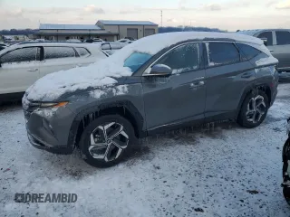 2024 Hyundai Tucson Limited z VIN 5NMJECDE0RH316914, wystawiony jako Copart lot #41689745 z przebiegiem 24 140 mil mil oraz Szkoda całkowita • Salvage title. Historia ofert i sprzedaży dostępna na DreamBid. Obrazek 1.