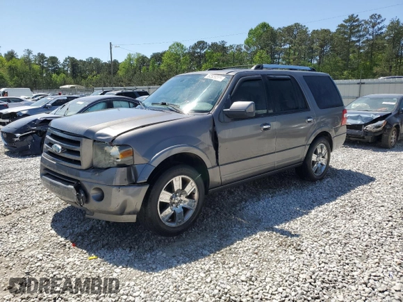2010 Ford Expedition Limited with VIN 1FMJU1K56AEA17182, listed as a Copart auction lot 52529205 with 196,579 mi miles and Salvage title. Bid and sale history available at DreamBid. Image 1.