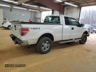 2013 Ford F-150 XL with VIN 1FTFX1EF9DFA16015, listed as a Copart auction lot 46990295 with 244,997 mi miles and Salvage Title. Bid and sale history available at carsss.com. Image 3.