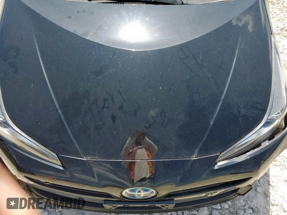 2019 Toyota Prius L Eco with VIN JTDKARFU0K3083516, listed as a Copart auction lot 59800495 with Not provided miles and Salvage title. Bid and sale history available at DreamBid. Image 11.