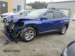 2024 Hyundai Tucson SEL with VIN 5NMJB3DE2RH300142, listed as a Copart auction lot 42783485 with Not Provided miles and Non Repairable. Bid and sale history available at carsss.com. Image 1.