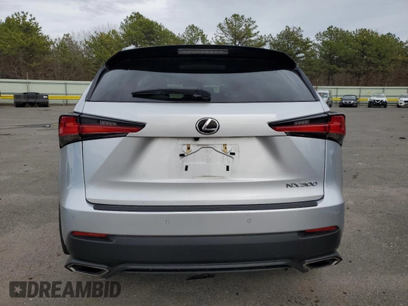 2019 Lexus NX 300 with VIN JTJBARBZ7K2198523, listed as a Copart auction lot 51774555 with 55,493 mi miles and Salvage Title. Bid and sale history available at DreamBid. Image 6.