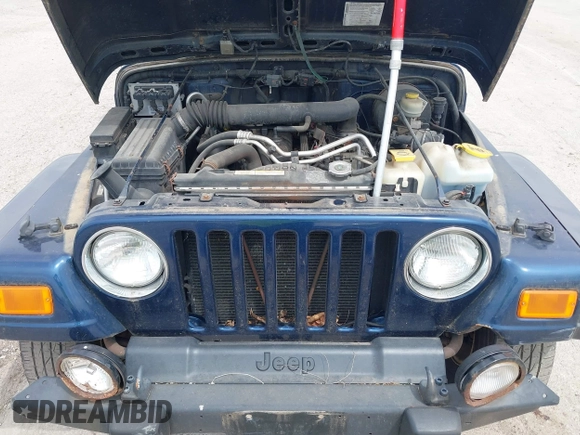 2004 Jeep Wrangler X with VIN 1J4FA39S64P726711, listed as a IAAI auction lot 42227336 with Not Provided miles and . Bid and sale history available at DreamBid. Image 10.
