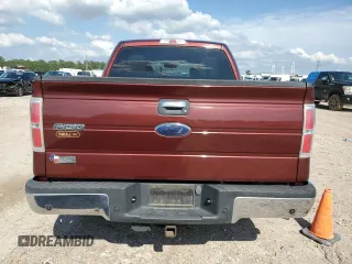 2010 Ford F-150 XL with VIN 1FTEW1C87AFD03660, listed as a Copart auction lot 53925855 with 252,174 mi miles and Clean Title. Bid and sale history available at DreamBid. Image 6.
