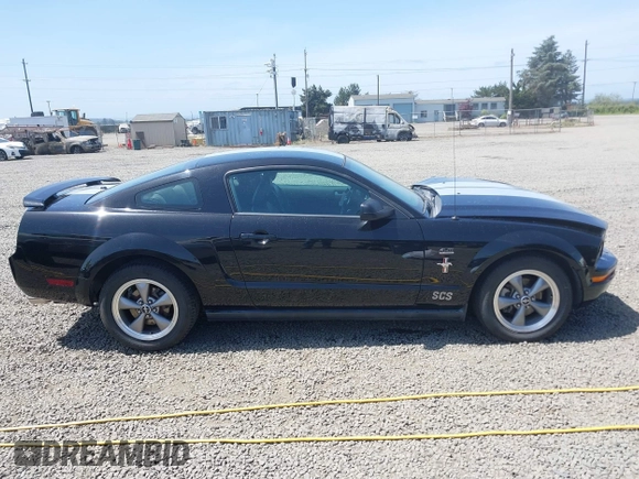 2006 Ford Mustang Standard with VIN 1ZVFT80N065182187, listed as a IAAI auction lot 42453637 with Not provided miles and . Bid and sale history available at DreamBid. Image 14.