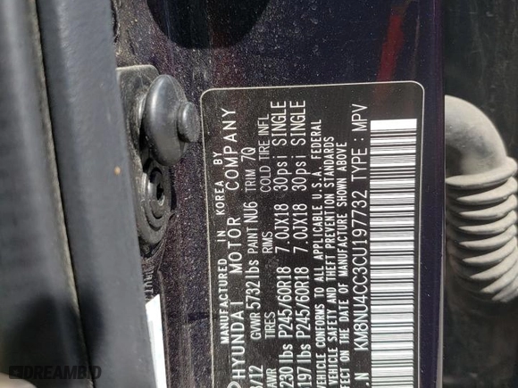 2012 Hyundai Veracruz Limited with VIN KM8NU4CC3CU197732, listed as a Copart auction lot 50038484 with 124,264 mi miles and Salvage Title. Bid and sale history available at carsss.com. Image 13.