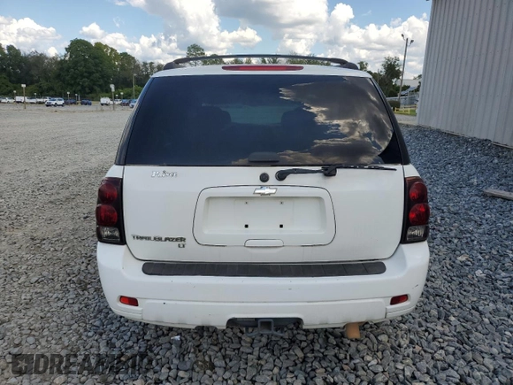 2006 Chevrolet TrailBlazer LS with VIN 1GNDS13S962116896, listed as a Copart auction lot 69937854 with 251,449 mi miles and Salvage Title. Bid and sale history available at DreamBid. Image 6.