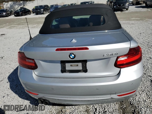 2017 BMW 2 Series 230i with VIN WBA2K9C54HV646717, listed as a Copart auction lot 41997345 with 123,963 mi miles and Salvage Title. Bid and sale history available at carsss.com. Image 6.