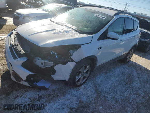 2014 Ford Escape SE with VIN 1FMCU0GX1EUD38118, listed as a Copart auction lot 45914145 with 134,079 mi miles and Salvage Title. Bid and sale history available at carsss.com. Image 1.