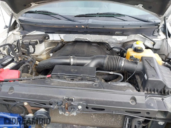 2014 Ford F-150 XL with VIN 1FTFW1CT5EKD39904, listed as a IAAI auction lot 41797099 with 209,343 mi miles. Bid and sale history available at carsss.com. Image 10.