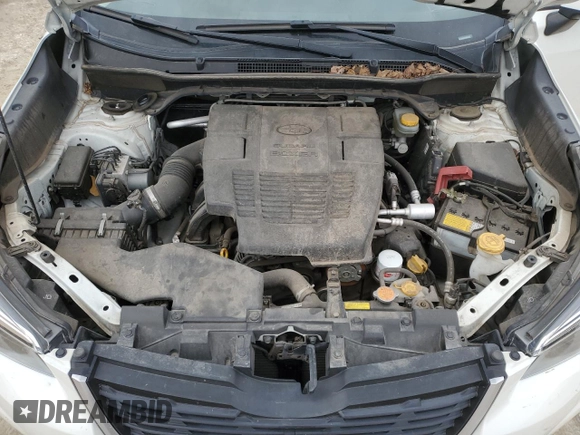 2019 Subaru Forester Premium with VIN JF2SKAGC6KH536286, listed as a Copart auction lot 49733775 with 77,573 mi miles and Salvage Title. Bid and sale history available at carsss.com. Image 13.