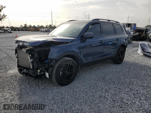 2024 Kia Telluride EX with VIN 5XYP3DGC1RG471384, listed as a Copart auction lot 59708035 with 8,388 mi miles and Salvage title. Bid and sale history available at DreamBid. Image 1.