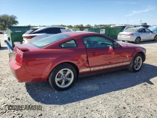 2006 Ford Mustang Standard with VIN 1ZVFT80N365106267, listed as a Copart auction lot 49793925 with Not Provided miles and Salvage Title. Bid and sale history available at carsss.com. Image 3.