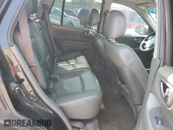 2003 Hyundai Santa Fe GLS with VIN KM8SC13D63U360869, listed as a Copart auction lot 70447874 with 206,488 mi miles and Salvage Title. Bid and sale history available at carsss.com. Image 11.