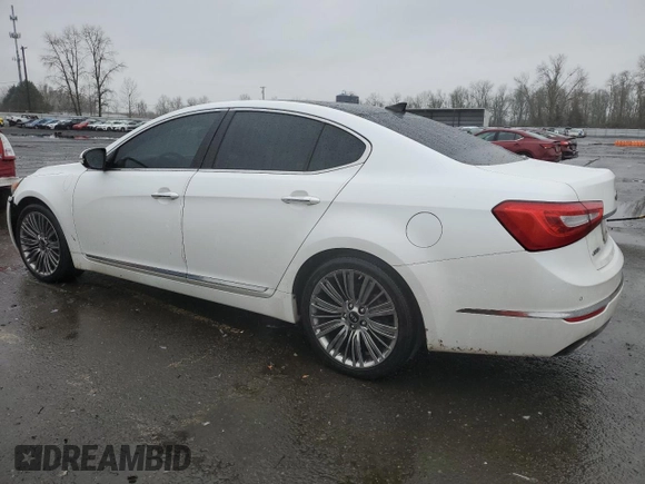 2014 Kia Cadenza Premium with VIN KNALN4D75E5156300, listed as a Copart auction lot 87351784 with 122,570 mi miles and Salvage Title. Bid and sale history available at carsss.com. Image 2.