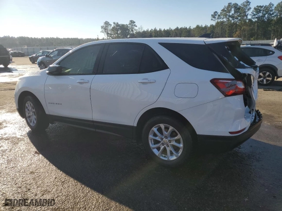 2019 Chevrolet Equinox LS with VIN 3GNAXHEV7KS557476, listed as a Copart auction lot 88718965 with 81,794 mi miles and Salvage Title. Bid and sale history available at carsss.com. Image 2.