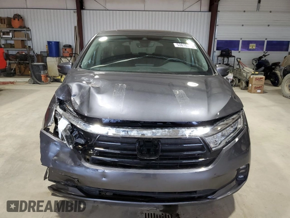 2024 Honda Odyssey EX-L with VIN 5FNRL6H69RB069598, listed as a Copart auction lot 53810215 with 5,789 mi miles and Salvage Title. Bid and sale history available at DreamBid. Image 5.