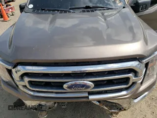 2021 Ford F-150 XL with VIN 1FTFW1E81MFC40903, listed as a Copart auction lot 59618935 with 97,419 mi miles and Salvage title. Bid and sale history available at DreamBid. Image 11.