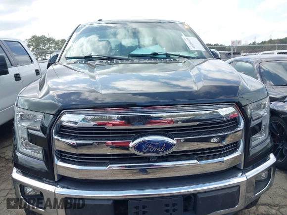 2016 Ford F-150 XLT with VIN 1FTEW1EFXGFC94800, listed as a IAAI auction lot 41694319 with Not provided miles and . Bid and sale history available at DreamBid. Image 12.