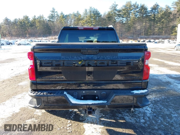 2022 Chevrolet Silverado 1500 Custom with VIN 1GCPDBEK1NZ512152, listed as a IAAI auction lot 41381103 with 49,865 mi miles. Bid and sale history available at carsss.com. Image 16.